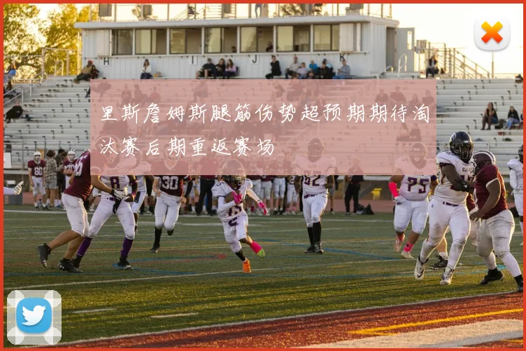 里斯詹姆斯腿筋伤势超预期期待淘汰赛后期重返赛场