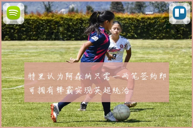 特里认为阿森纳只需一两笔签约即可拥有锋霸实现英超统治