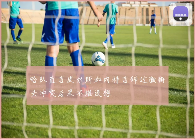 哈队直言皮尔斯加内特言辞过激街头冲突后果不堪设想